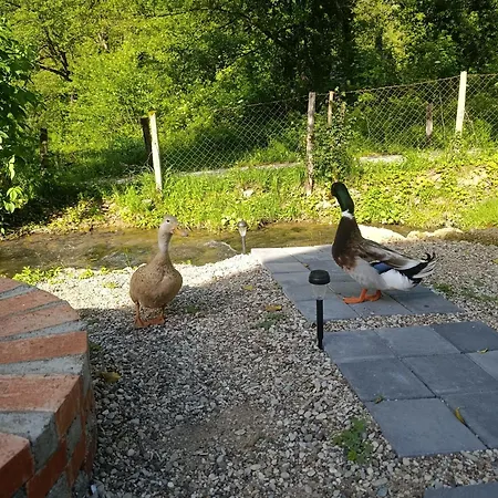 Janjske Otoke Brvnara Tiho Ognjiste